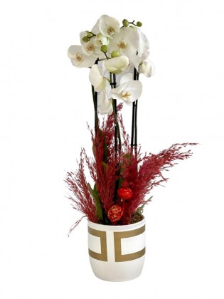 Special Çift Dal Beyaz Orkide