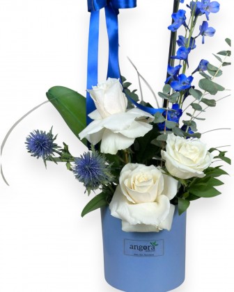 Azure Moon &ndash; Blue Orchid & White Roses